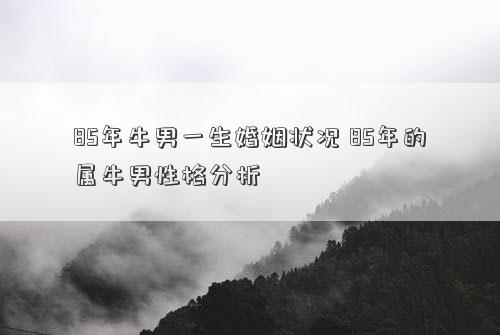 85年牛男一生婚姻状况 85年的属牛男性格分析