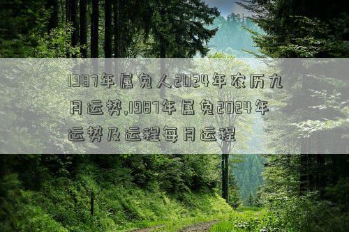 1987年属兔人2024年农历九月运势,1987年属兔2024年运势及运程每月运程