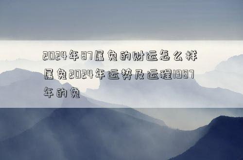 2024年87属兔的财运怎么样 属兔2024年运势及运程1987年的兔