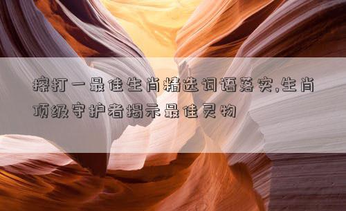 擦打一最佳生肖精选词语落实,生肖顶级守护者揭示最佳灵物