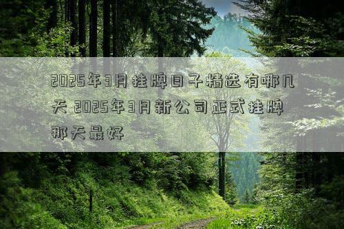 2025年3月挂牌日子精选有哪几天 2025年3月新公司正式挂牌那天最好