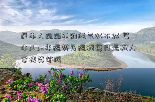 属牛人2025年的运气好不好 属牛2025年运势及运程每月运程大家找算命网